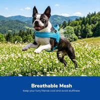 Didog No Pull Dog Harness for Large Dogs, Breathable Mesh Padded - Blue / XS: Chest 15-19", Fit 9-18 lbs - image 2