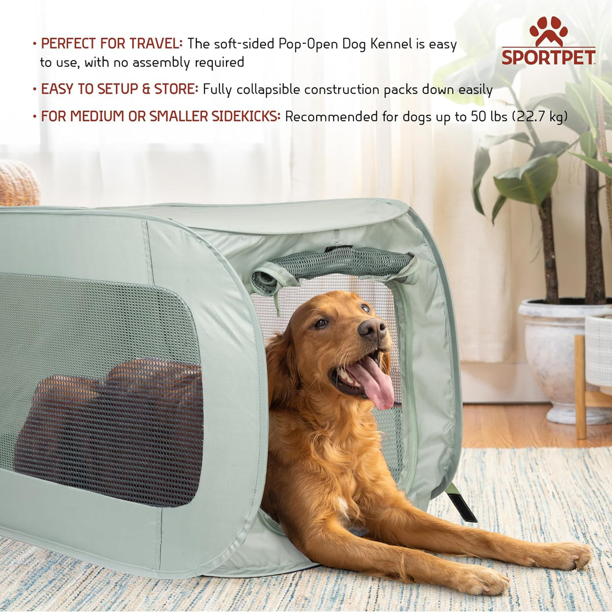 SportPet Designs Large Pop Open Kennel, Portable Cat Cage Kennel - Light Green - image 2