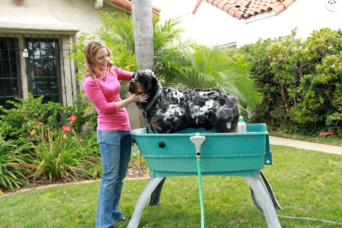 Elevated Pet Bathing, Teal, Large – Essentials for Dogs - Teal / Booster Bath - image 3