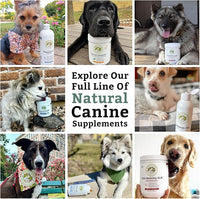 Wholistic Pet Organics Canine Complete - Dog Multivitamin Powder - 2 Lb - Daily Dog Vitamins and Supplements for Homemade Food - Immune System, Skin, Coat & Overall Health - Small and Large Breed