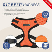 Authentic Puppia RiteFit Harness with Adjustable Neck - Navy / X-Large - image 2