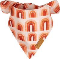 Remy+Roo Large Spring Dog Bandanas - Large - image 3