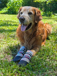 All Weather Neoprene Paw Protector Dog Boots with Reflective Straps - Multicolor / Large - image 3