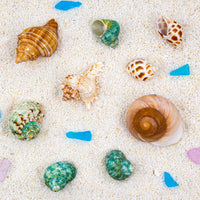 SINKOO 9PCS Hermit Crab Shells Small Medium Large - image 2
