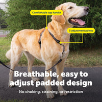 PetSafe 3 in 1 No-Pull Dog Harness, Walk, Train or Travel - Black / Large (Pack of 1) - image 4