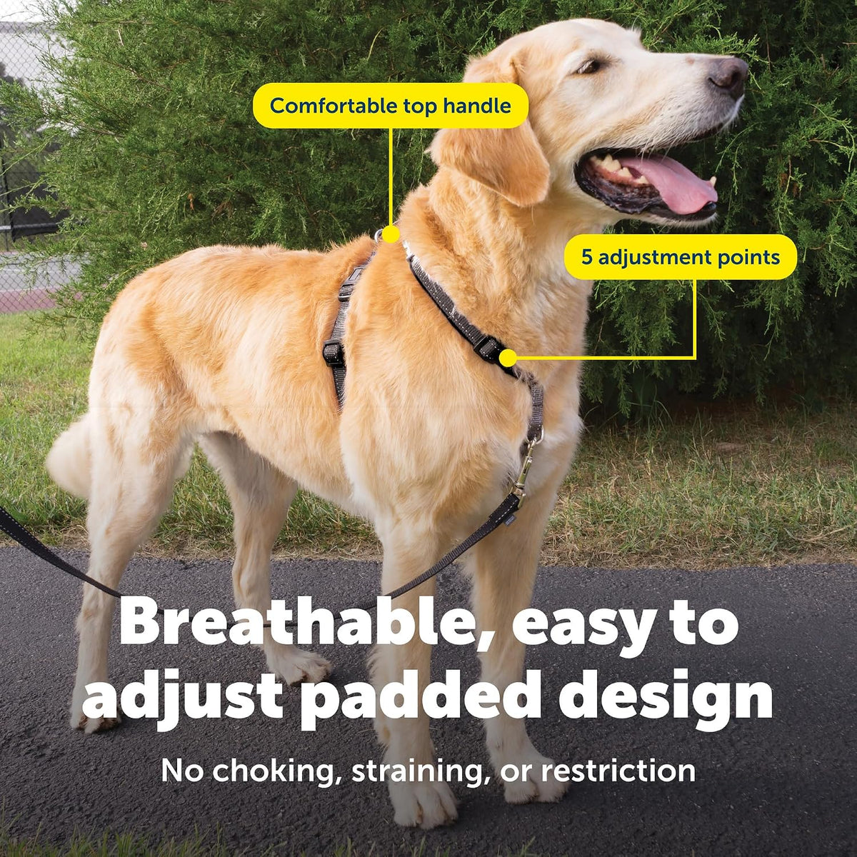 PetSafe 3 in 1 No-Pull Dog Harness, Walk, Train or Travel - Black / Large (Pack of 1) - image 4