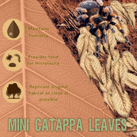 SunGrow 50 Pack Leaf Litter for Spider, Cricket & Isopod - Mini - 50Pcs - image 2