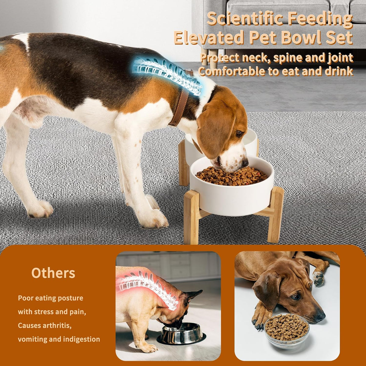 Elevated Ceramic Dog Bowl - White / Medium - image 4