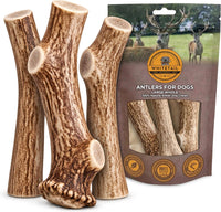 WhiteTail Naturals 12 Pack Whole Deer Antlers for Petite Dogs Up - Large (Pack of 3)