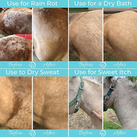 COAT DEFENSE Daily Grooming Powder for Horses | Dry Shampoo with Natural Ingredients | 64 oz Formula for Fresh, Healthy-Looking Coat
