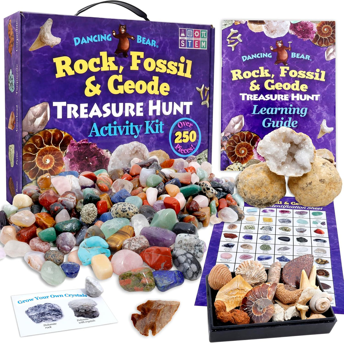 DANCING BEAR Rock, Mineral & Geodes Treasure Hunt Activity Kit Real Shark Teeth Fossils, ID Sheet