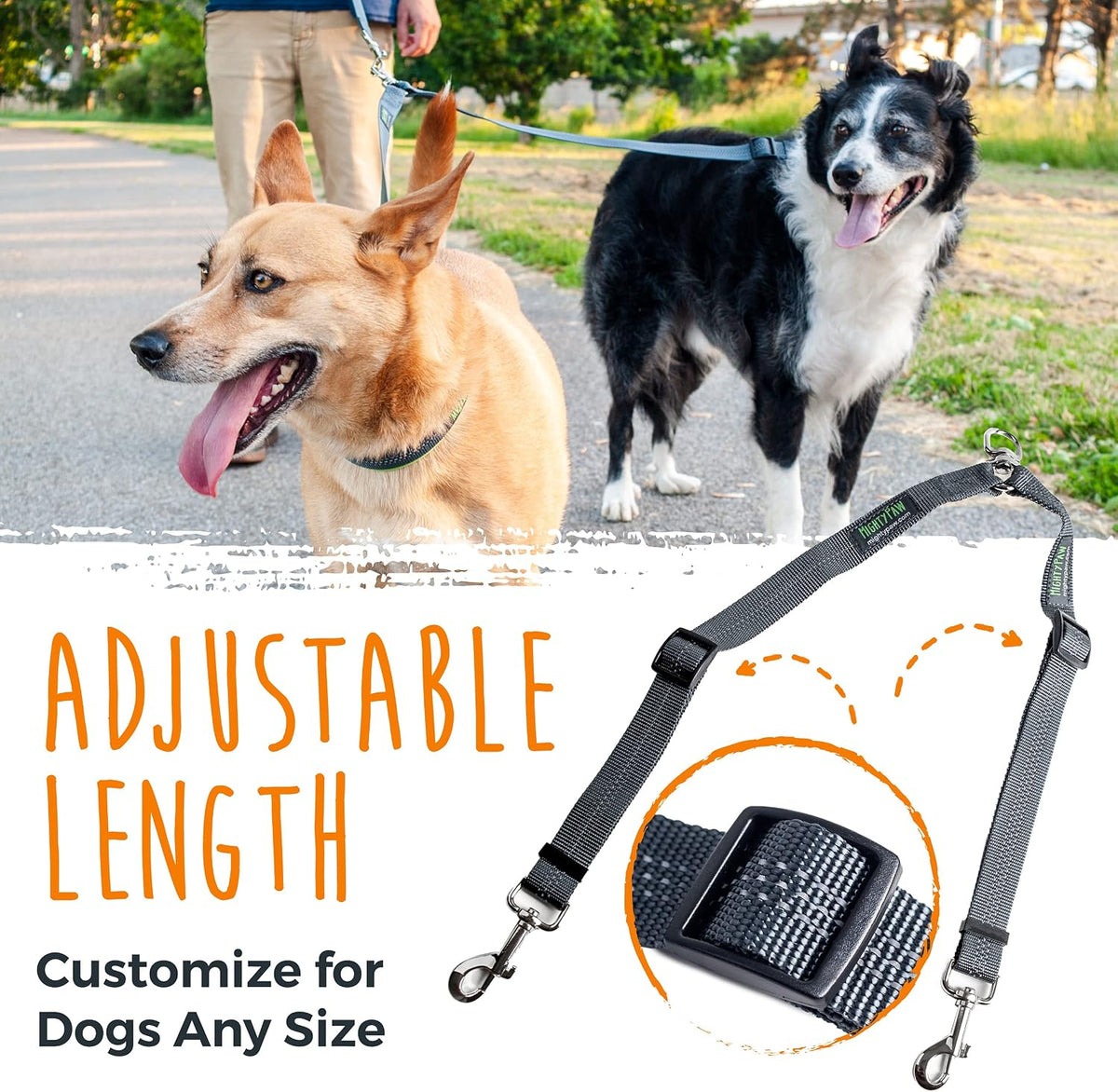 Mighty Paw Double Dog Leash - Double Leash / Standard | Dogs 30+ lbs - image 3