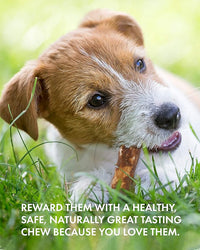 Canine Naturals Peanut Butter Chew - 100% Rawhide Free Dog Treats - Made with Real Peanut Butter - All-Natural and Easily Digestible - 2 Pack of 7 Inch Large Rolls for Dogs 50 lbs and up
