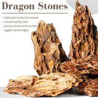 6.1-8.1 Inches Natural Dragon Stone, Terrariums - 6.1-8.1 in - image 2