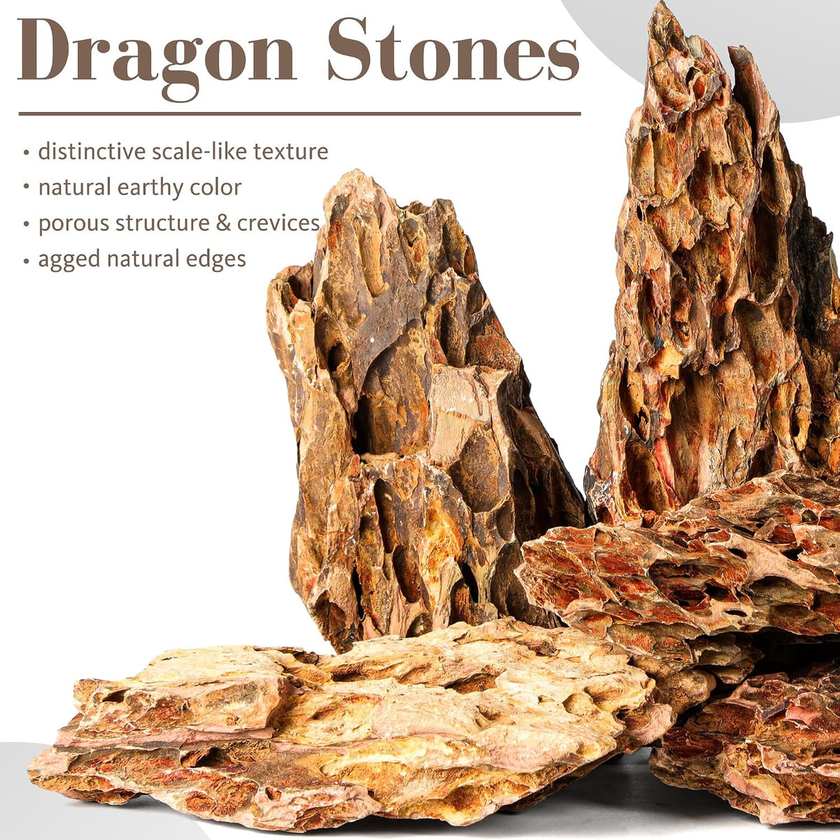 6.1-8.1 Inches Natural Dragon Stone, Terrariums - 6.1-8.1 in - image 2