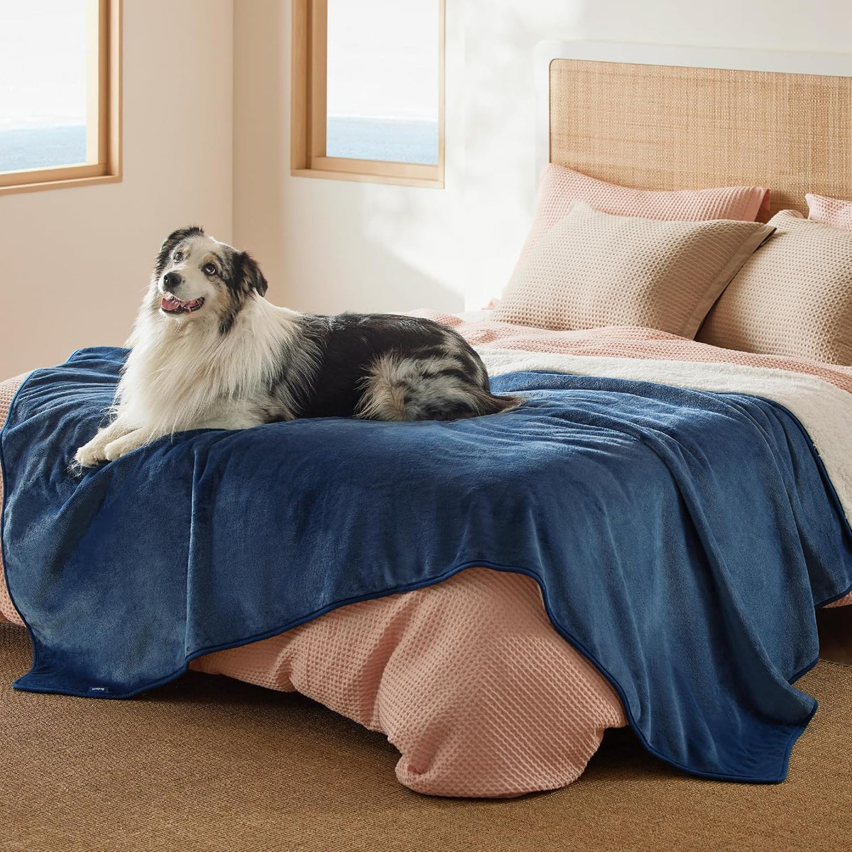 Bedsure Waterproof Dog Blankets for Small Dogs Soft Cat Blanket Warm - Twin(60x80") / Blue
