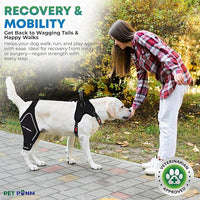 Petpanm- Adjustable Dog Knee Brace- Right Hind Leg with Integreted Harness- Premium Support for Torn ACL, Sprains & Strains Recovery, Enhances Mobility, Comfortable Neoprene- (Small)