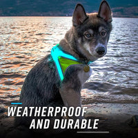 Noxgear LightHound – Revolutionary Illuminated and Reflective Harness for Dogs Including Multicolored LED Fiber Optics (USB Rechargeable, Adjustable, Lightweight, Rainproof) (X-Large)