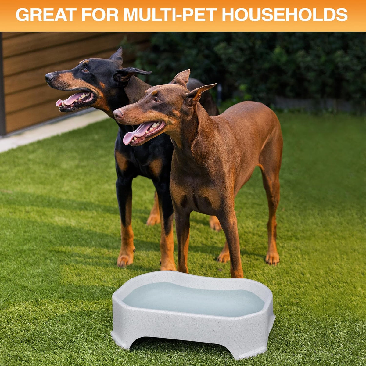 Neater Pet Brands Extra Large Water Bowl for Dogs - 1.25 Gallons / Vanilla Bean - image 4