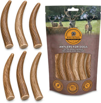 WhiteTail Naturals 12 Pack Whole Deer Antlers for Petite Dogs Up - Petite (Pack of 6)