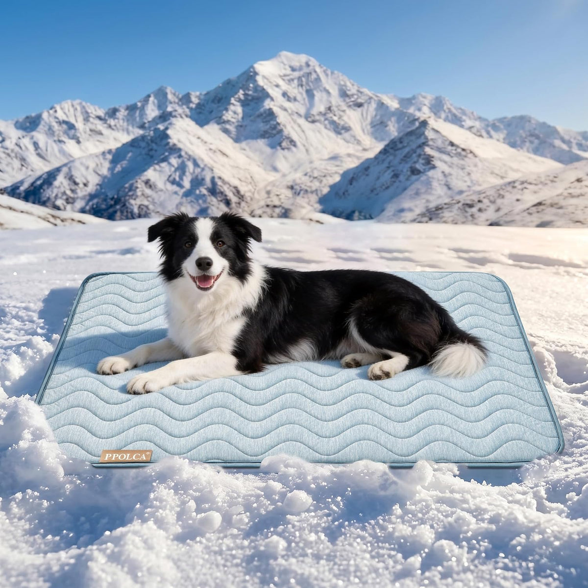 Waterproof Cooling Mat for Large Dogs 28x41 - Blue / 23x35