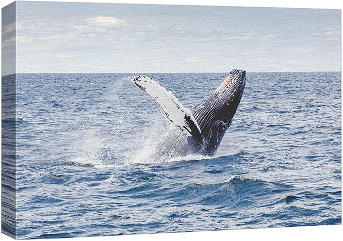 wall26 Canvas Print Wall Art Tropical Ocean Sea Water Horizon Blue Whale Nature Animals Photography Realism Rustic Scenic Landscape Wilderness Colorful for Living Room, Bedroom, Office - 16"x24"