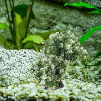 POPETPOP Aquarium Bonsai Tree Plant: Artificial Plants Flower Ornament - Fish Bowl Ornament for Freshwater and Saltwater Decor 4.13 X 2.36 X 10.62 Inch