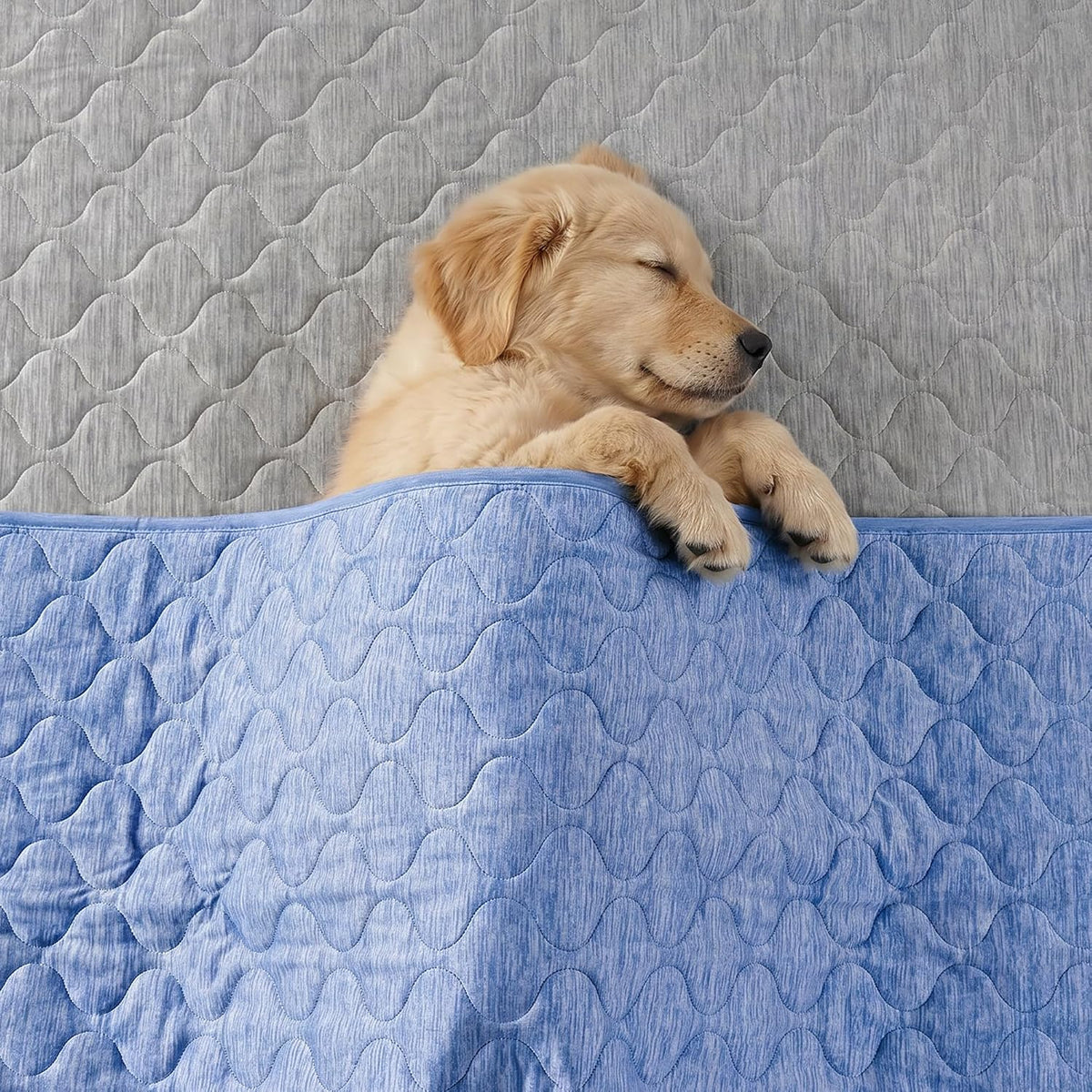Cozy Bliss Leakproof Cooling Blanket for Large Dogs, Q-Max 0.5 - Heather Haze Blue / 60*80 - image 3