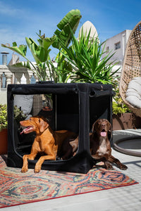Noah & Paw XXL Collapsible Dog Crate, 42" - Black / 42.0"L x 31.0"W x 31.0"H - image 3