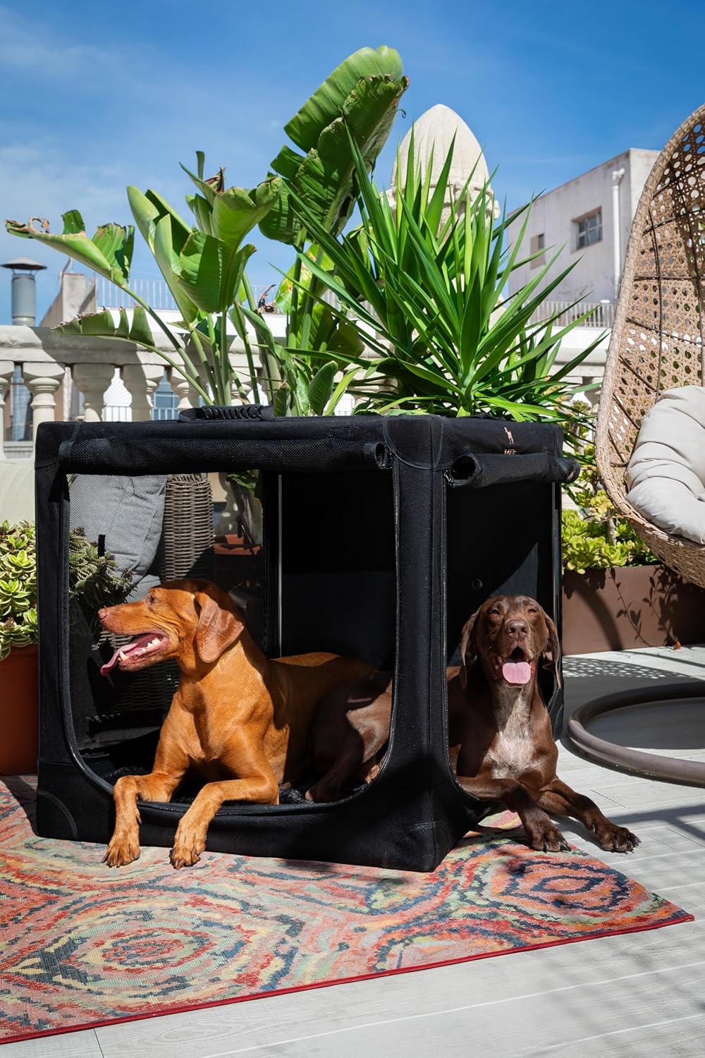 Noah & Paw XXL Collapsible Dog Crate, 42" - Black / 42.0"L x 31.0"W x 31.0"H - image 3