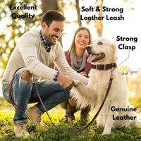 ADITYNA Leather Dog Leash for Large, and Small Dogs - L - 6 ft x 3/4 inch / Brown - Gold Colored Clasp - image 4