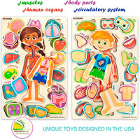 Human Body Model for Kids - Natural Multicolor - image 2