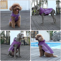 Warm Fleece Dog Hoodie for Small Dogs, Winter Puppy Coats - Purple / Medium - image 3