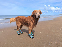 All Weather Neoprene Paw Protector Dog Boots with Reflective Straps - Turquoise / XL - image 2