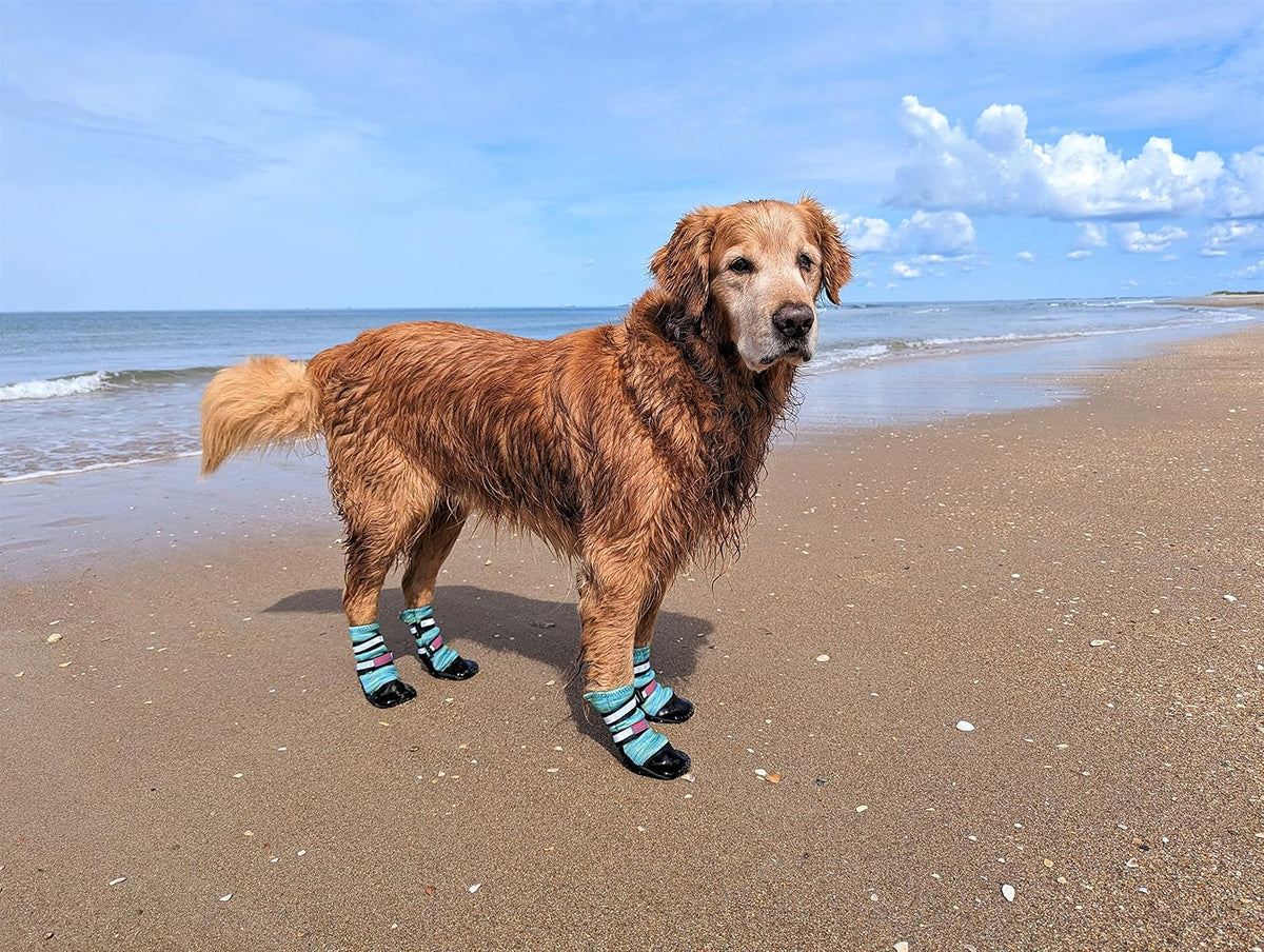 All Weather Neoprene Paw Protector Dog Boots with Reflective Straps - Turquoise / XL - image 2