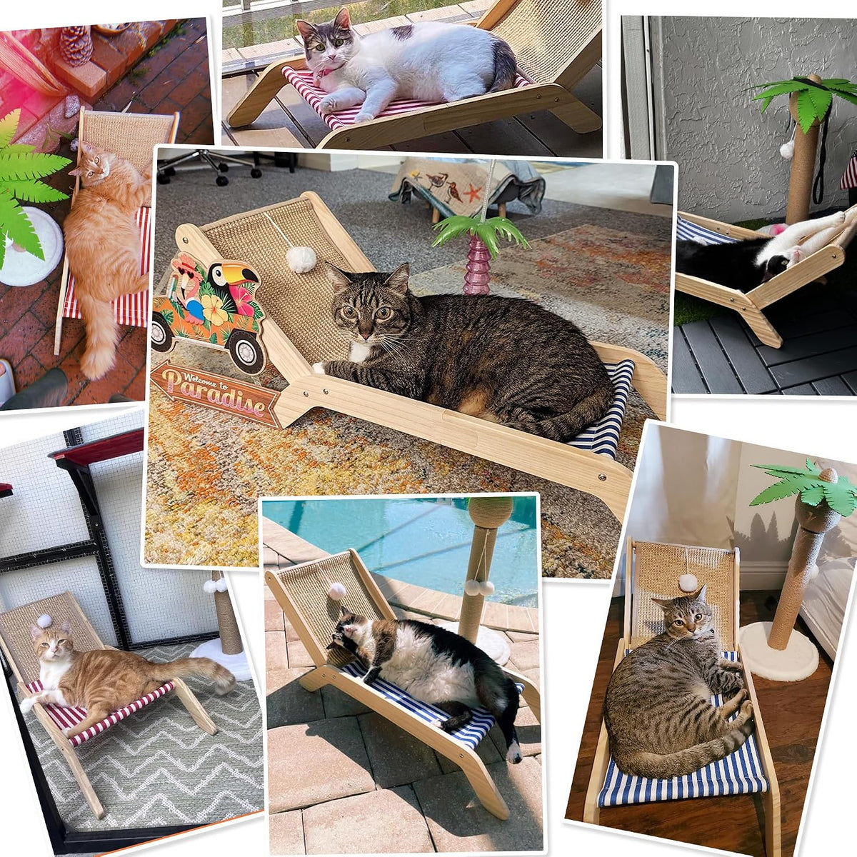 PETKARAY Beach Chair Cat Hammock - Blue / Beach Chair - image 4