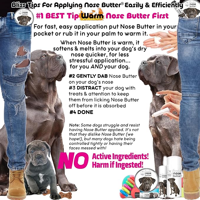 The Blissful Dog Cane Corso Nose Butter for Dry, Cracked Skin, Lick-Safe Dog Nose Balm with Moisturizing Shea Butter, Almond, Olive, and Essential Oils, Pet Supplies, Uncented, 4 oz.