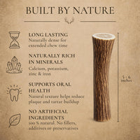 WhiteTail Naturals 12 Pack Whole Deer Antlers for Petite Dogs Up - Medium (Pack of 3) - image 2