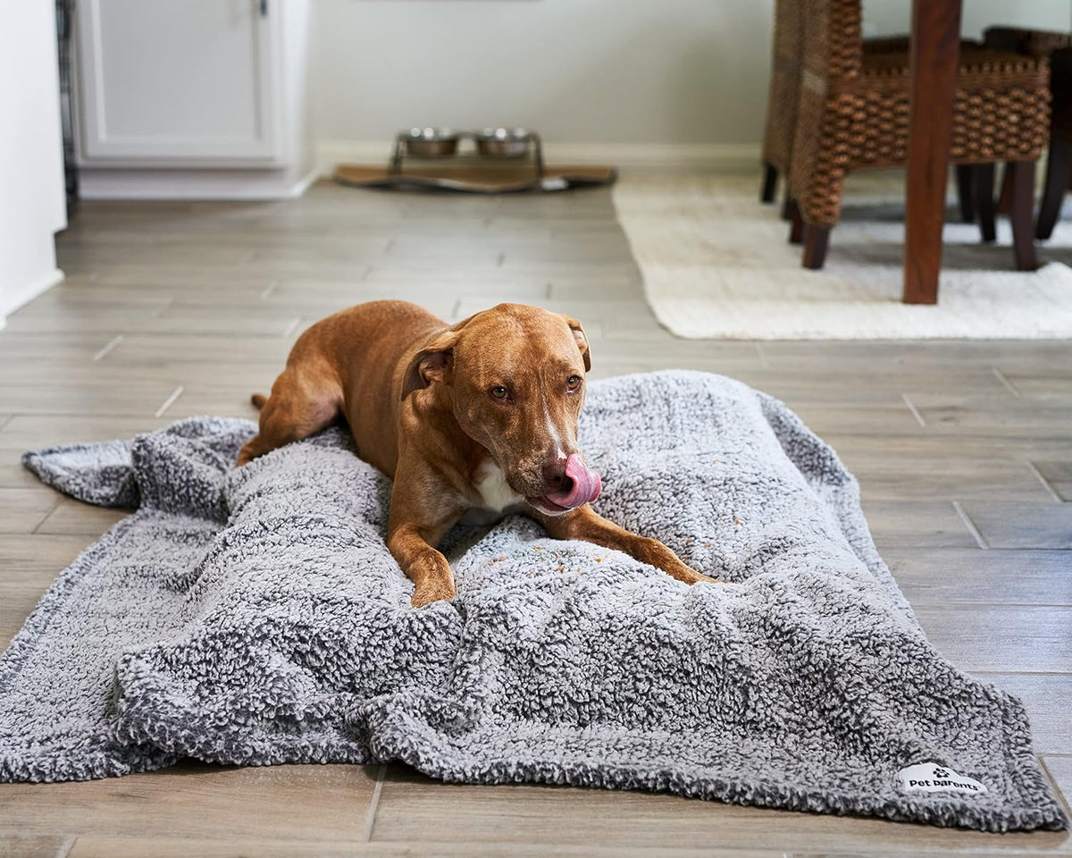 PET Parents Premium CAT, Puppy and Dog Blanket - 50"x60" / Slate - image 2