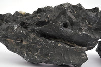 LANDEN Dark SEIRYU Stones Natural Rocks (3~11 inches,11pcs) x2 40Lx 2 Cases Total 80L 37lbs for Aquarium, Paludarium, Terrariums, Landscaping Rocks, Decorative Aquarium Rocks