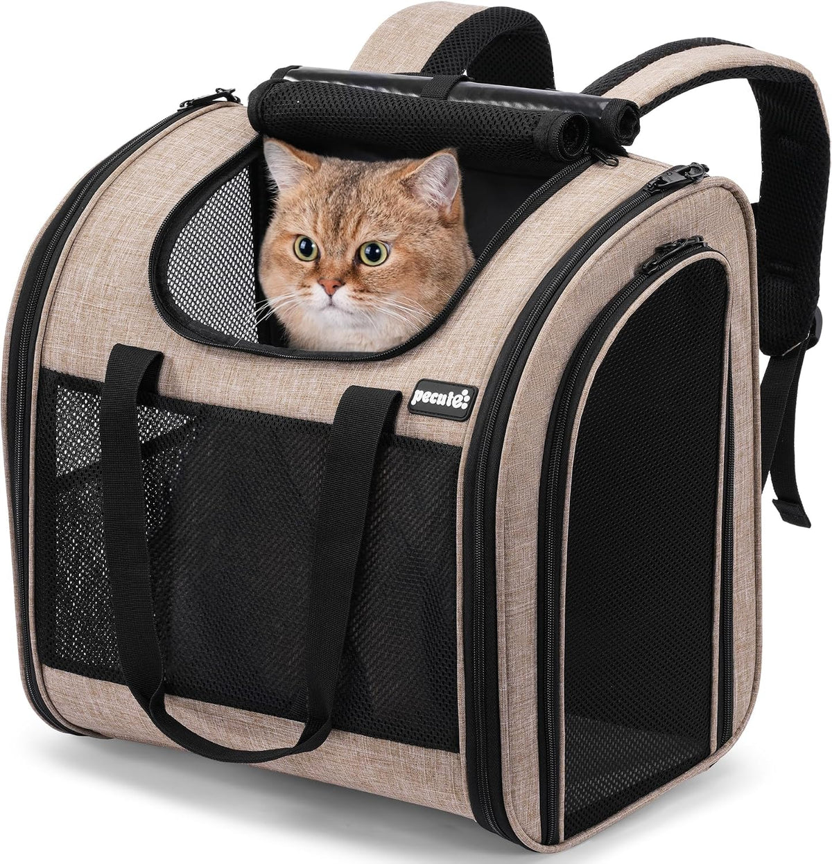 Pecute Cat Backpack with Widened Interior Space - Khaki