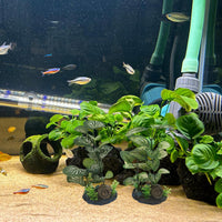 M2cbridge Artificial Fish Tank Plants Aquarium Plant Aquatic Water - 2pcs Grasses - image 4