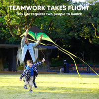 SYNCFUN large delta kite in gradient green with tail and 328 ft string - view 2