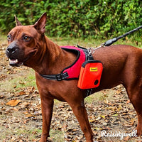 Dog Treat Pouch for Pet Walking and Training with Clicker Poop Bags Small Fanny Zipper Pack Holder for Puppy Snack Dispenser Kit for Leash and Outdoor Use (Orange)