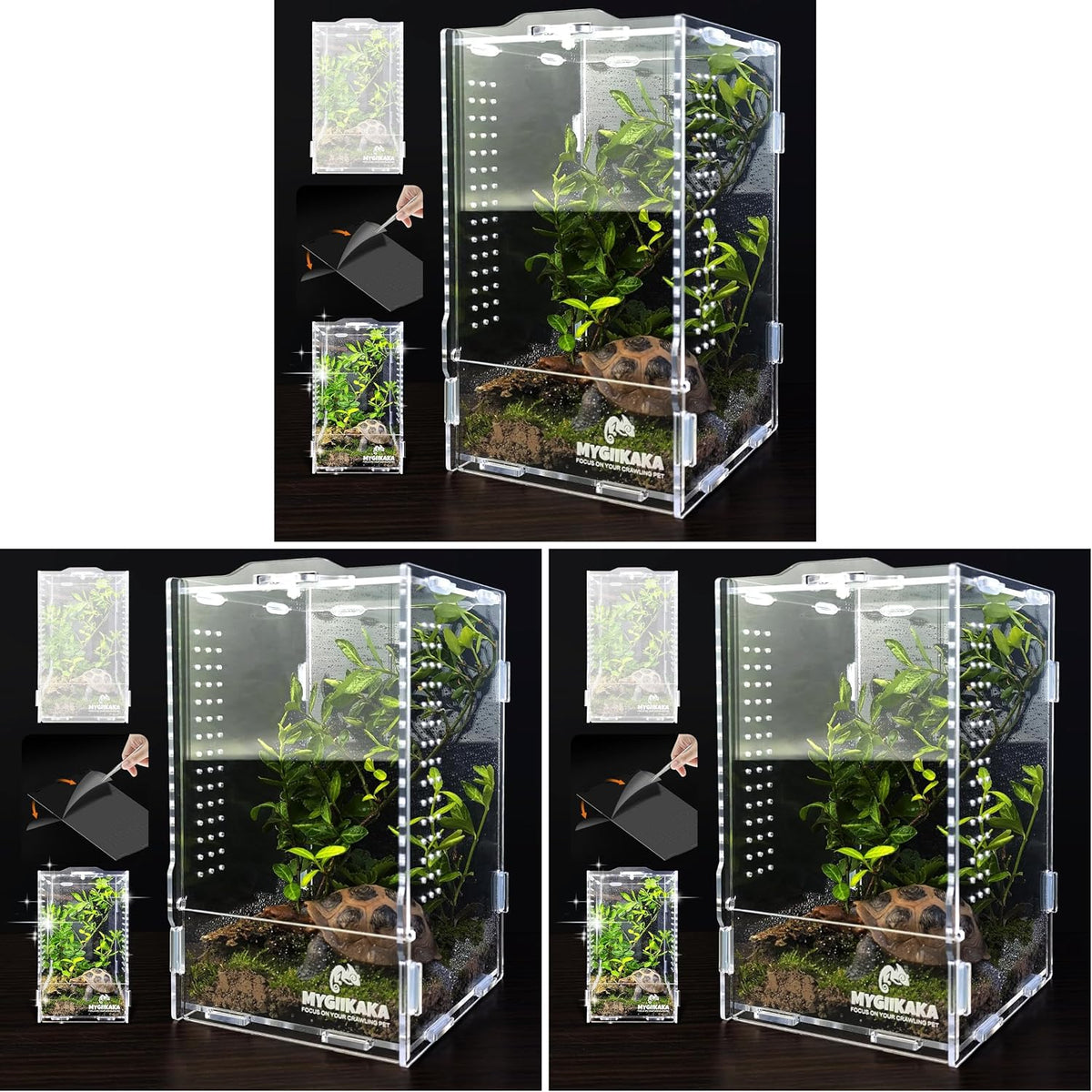 Acrylic Jumping Spider Enclosure, Insect Terrarium for Spiders - Small (Pack of 3)