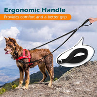PetBonus Two Point Control Dog Leash, Works with No Pull Harnesses, No Tangle Training Leashes, Soft Padded and Reflective Walking Lead, Converts to Single Lead for Medium Large Dogs (Black)