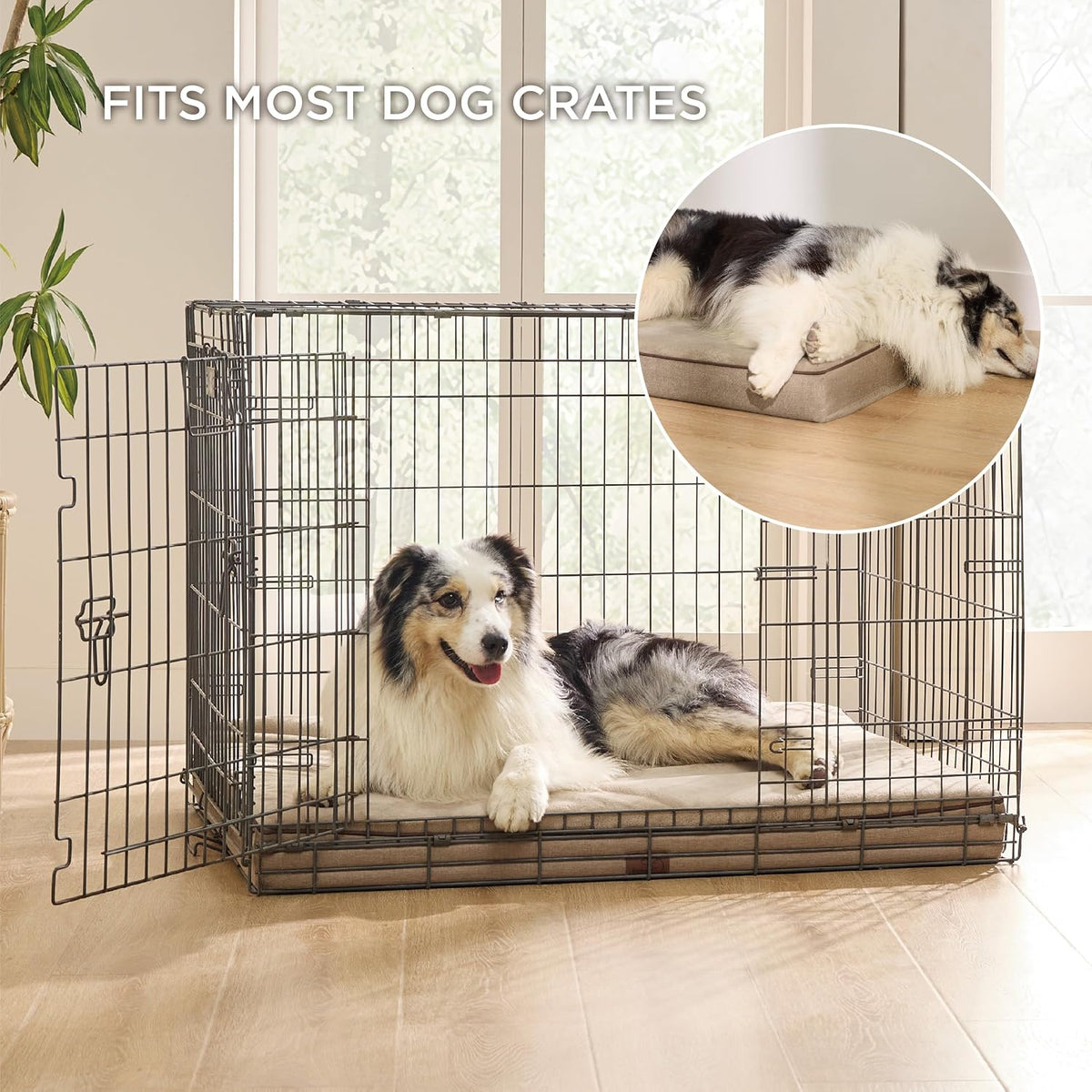 Bedsure Memory Foam Dog Beds Large Sized Dog - 41"L x 29"W x 3.5"Th / Khaki - image 4