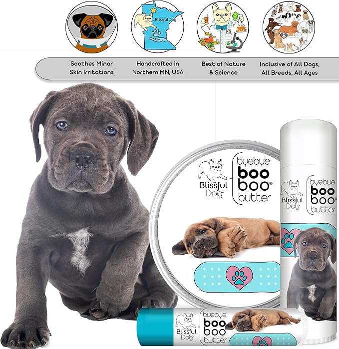 The Blissful Dog Cane Corso Boo Boo Butter, 1-Ounce