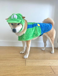 ComfyCamper Hat and Suspenders Dog Costume - Medium / Green - image 4