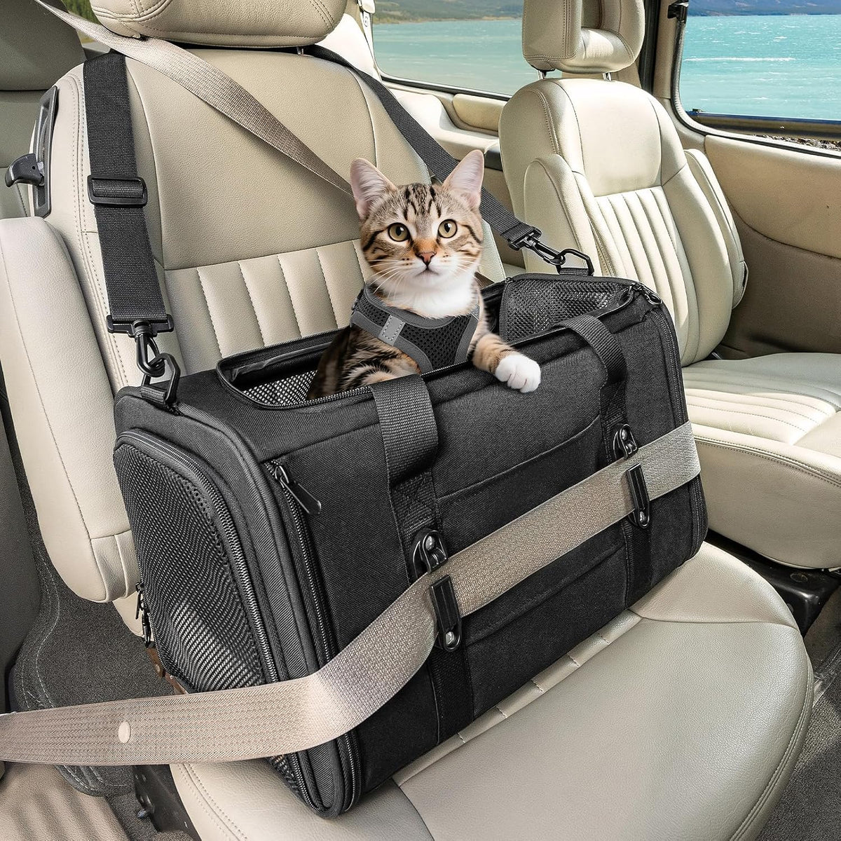 PETSFIT Cat Carrier Soft with Patented Safety Buckles - 18.0"L x 11.0"W x 11.0"H / Black